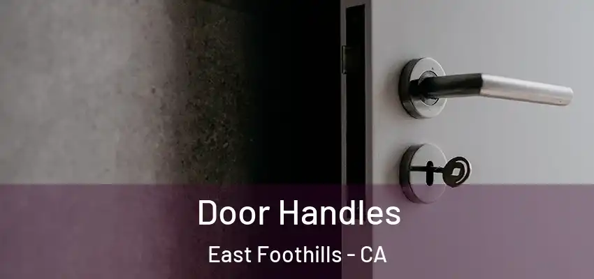  Door Handles East Foothills - CA