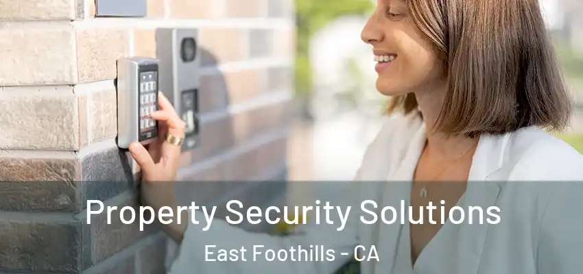  Property Security Solutions East Foothills - CA